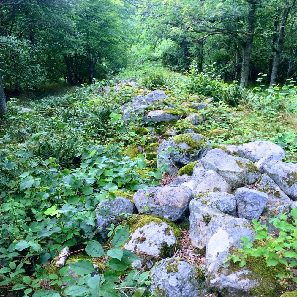 Meet your Posher, Gunnar